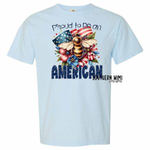 Proud to be an American